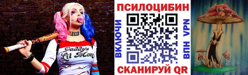 где купить   Ставрополь  Псилоцибиновые грибы Cubensis 